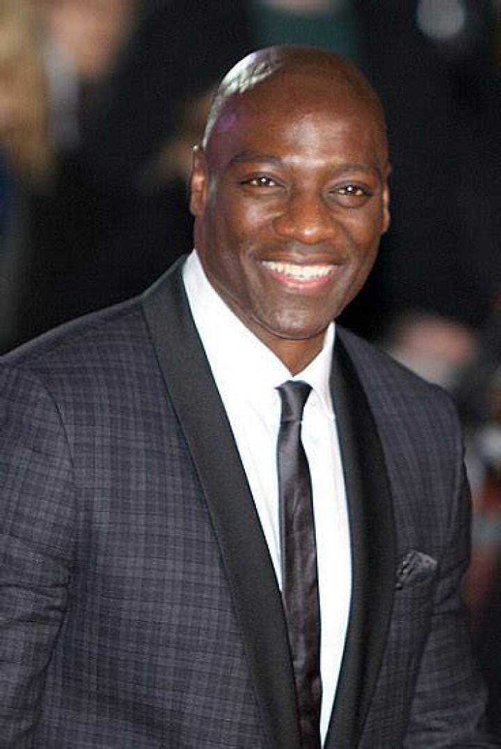 Adewale Akinnuoye-Agbaje Height, Weight, Net Worth, Age, Birthday, Wikipedia, Who, Instagram, Biography