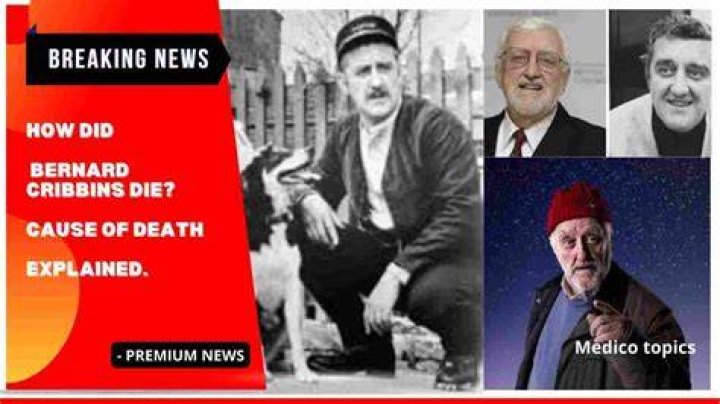 
Bernard Belle’s Death Cause- How Did He Die? 