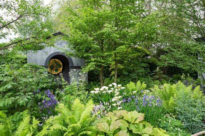 
Chris Beardshaw Garden Design Illness And Chelsea 2022 Presenter Recalls Health Issues 