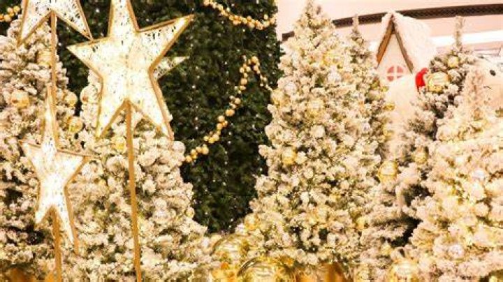 
Christmas Trees Will Be More Expensive This Year — But There Will Be Plenty to Go Around 