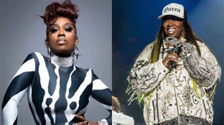 
Did Chris Brown get in a fight during Missy Elliott’s set in Las Vegas concert, one day after Usher incident? 