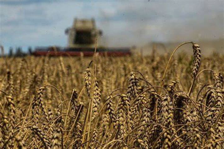 
Grain shipments depart from Ukraine despite Russian blockade threat 