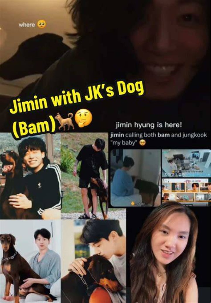 
Is Jimin Gay? Know More About Him! 
