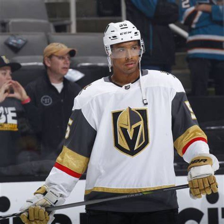 
Keegan Kolesar Mother Corrinne Kolesar Raised The NHL Player 