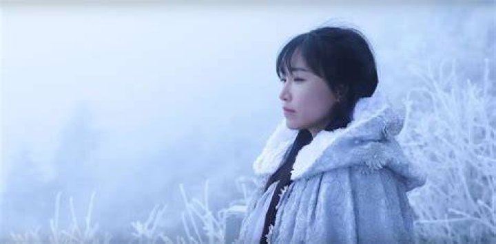 Li Ziqi Height, Weight, Net Worth, Age, Birthday, Wikipedia, Who, Nationality, Biography