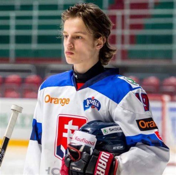 
Libor Nemec Brother Oliver Nemec Is A Hockey Player At HK Skalica 