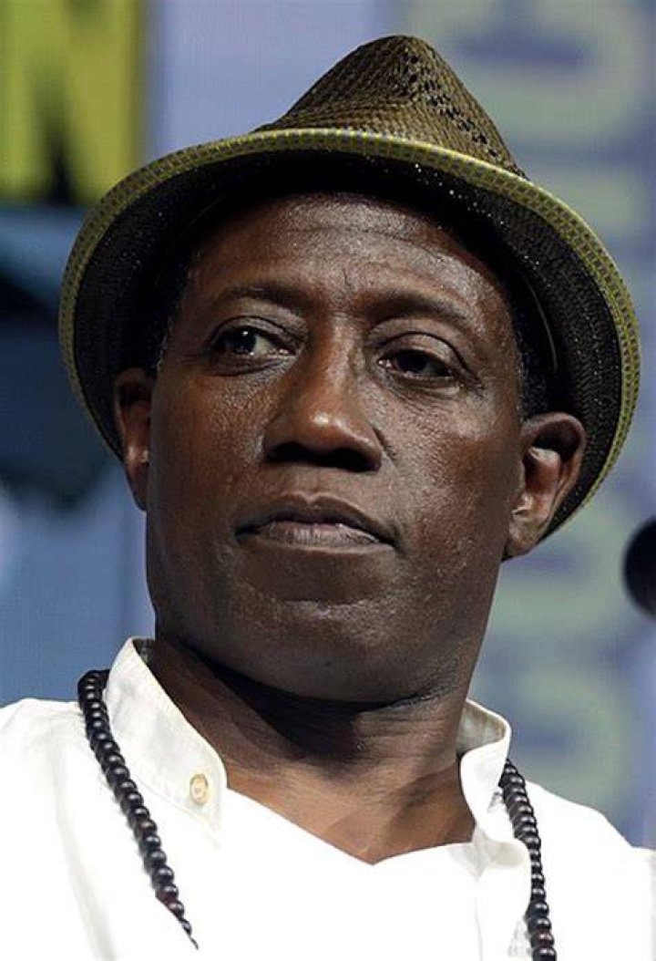 
Wesley Snipes Net Worth 2022: Why He Went To Prison After Blade Trilogy? 