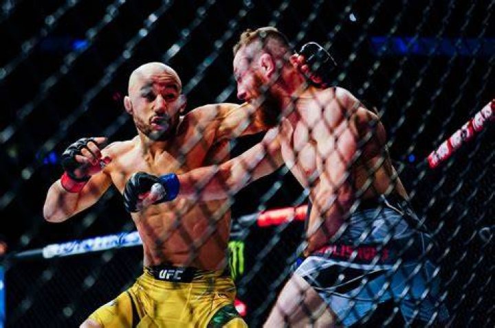 Who Is Izabella Santiago? Meet UFC Marlon Moraes Wife On Instagram – Wedding And Age Details