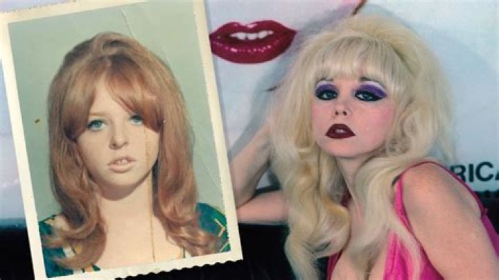
Who Is Ronia Tamar Goldberg? Real And Name Story Of Famous Billboard Queen Angelyne Finally Explained 
