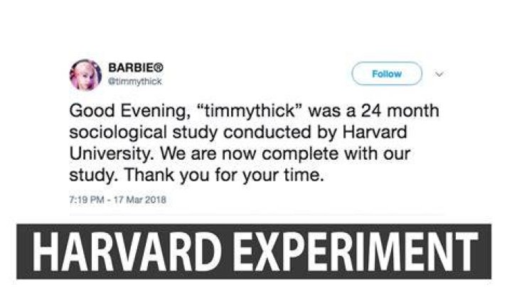 
Who Is Timmy Thick? Where Is He Now and What About His Harvard Experiment? 