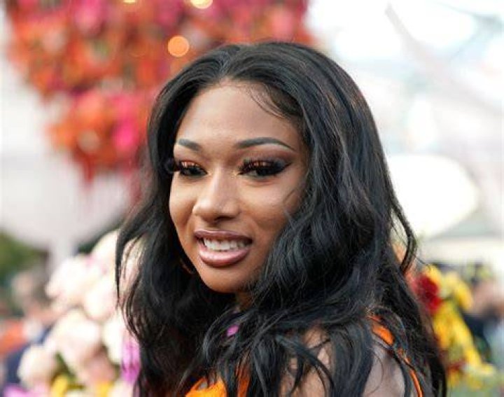 Who Shot Megan Thee Stallion? She Had Surgery to Remove Bullets From Her Foot